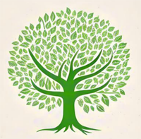 Эвервуд  Захираҳо